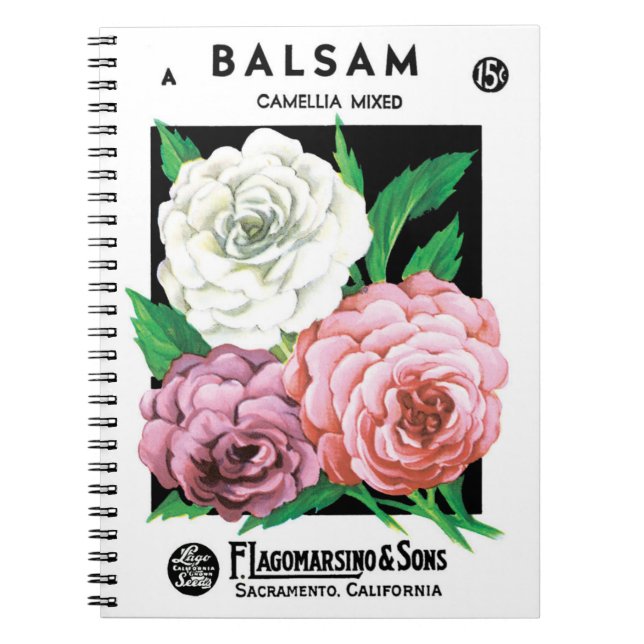 Vintages Saatgutpackungs-Label Kunst, Kamelien, Bl Notizblock (Vorderseite)