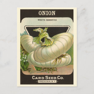 Vintages Saatgutpackungslabel "Best Western Union  Postkarte