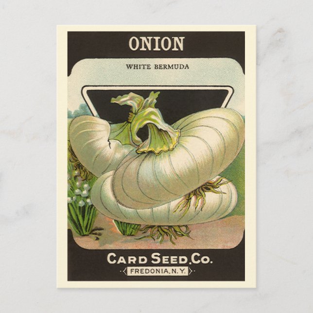 Vintages Saatgutpackungslabel "Best Western Union  Postkarte (Vorderseite)