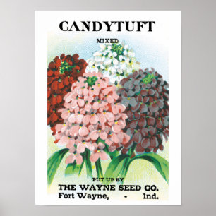 Vintages Saatgutpaket Kunst, Candytuft Garden Blum Poster