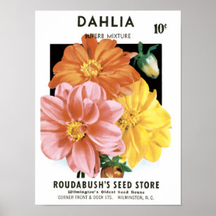 Vintages Saatgutpaket Kunst, Dahlia Garden Blume Poster