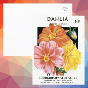 Vintages Saatgutpaket Kunst, Dahlia Garden Blume Postkarte