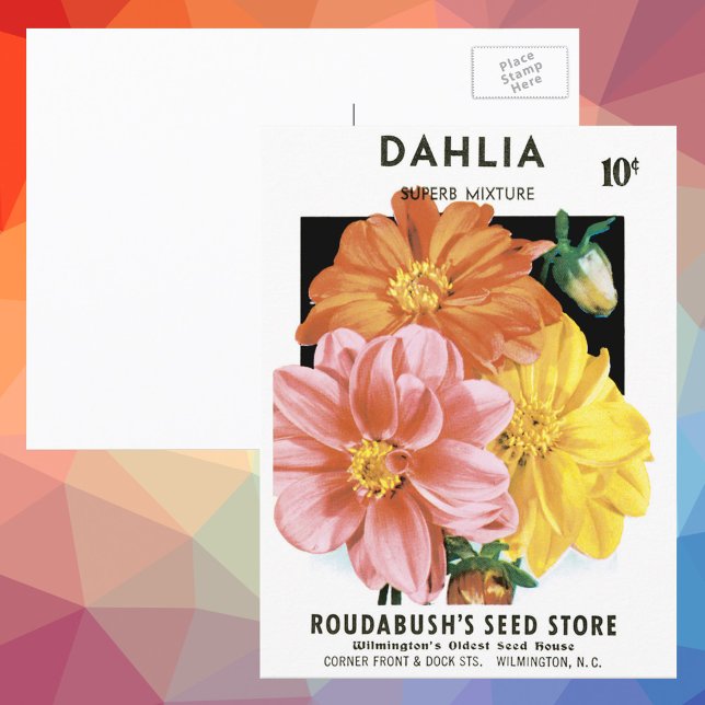 Vintages Saatgutpaket Kunst, Dahlia Garden Blume Postkarte (Von Creator hochgeladen)