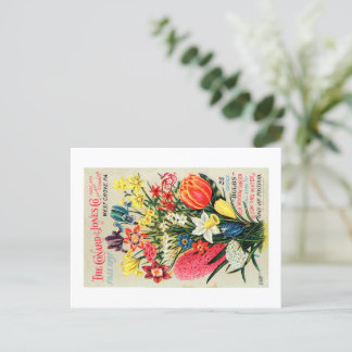 Vintages Saatgutpaket Postkarte