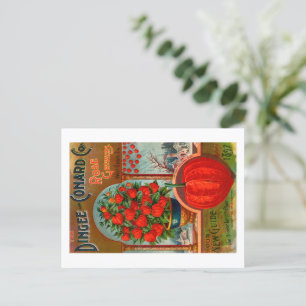 Vintages Saatgutpaket Postkarte. Postkarte