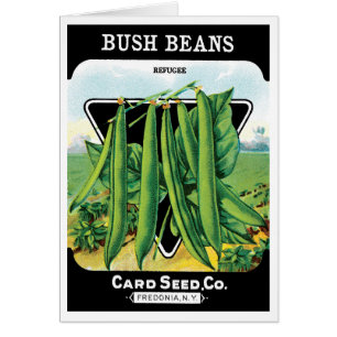 Vintages Saatgutverpackungs-Label Art, Bush Bean V