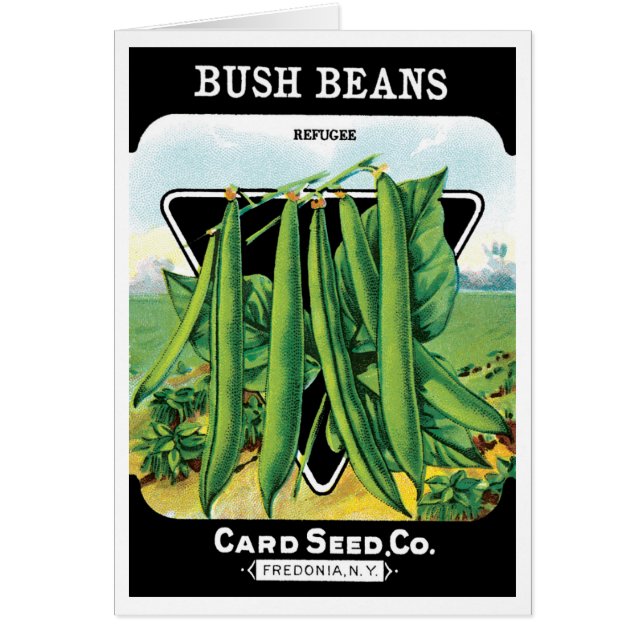 Vintages Saatgutverpackungs-Label Art, Bush Bean V (Vorne)