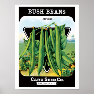Vintages Saatgutverpackungs-Label Art, Bush Bean V Poster
