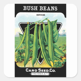 Vintages Saatgutverpackungs-Label Art, Bush Bean V Quadratischer Aufkleber