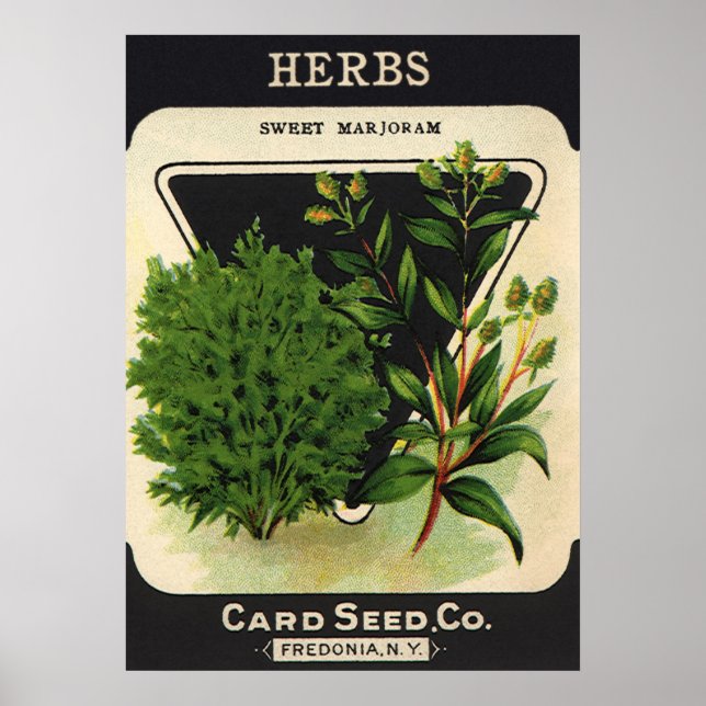 Vintages Saatgutverpackungs-Label Poster (Vorne)