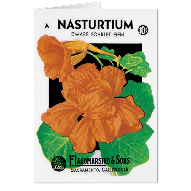 Vintages Saatgutverpackungslabel Art, Nasturtium-B (Vorne)