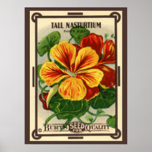 Vintages Saatgutverpackungslabel Art, Nasturtium-B Poster