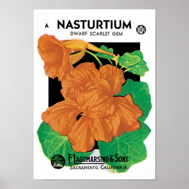 Vintages Saatgutverpackungslabel Art, Nasturtium-B Poster (Vorne)