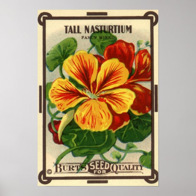 Vintages Saatgutverpackungslabel Art, Nasturtium-B Poster (Vorne)