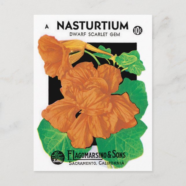 Vintages Saatgutverpackungslabel Art, Nasturtium-B Postkarte (Vorderseite)