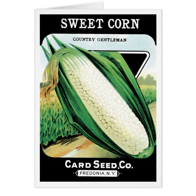 Vintages Saatgutverpackungslabel Art, Sweet White  (Vorne)