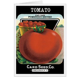 Vintages Saatgutverpackungslabel Art, Tomato Pomod