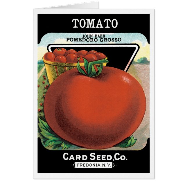 Vintages Saatgutverpackungslabel Art, Tomato Pomod (Vorne)