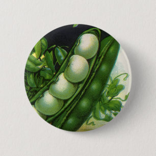 Vintages Saatgutverpackungsmaterial Art, Pole Lima Button