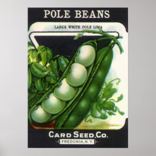 Vintages Saatgutverpackungsmaterial Art, Pole Lima Poster