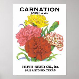 Vintages Saatpacketikett Art, Nelken Blume Poster