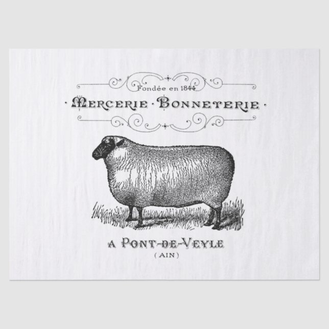 Vintages Schaf-Anzeigen-Gewebe Seidenpapier (Vorderseite)