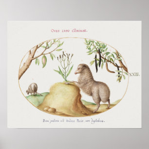 Vintages Schafposter Poster