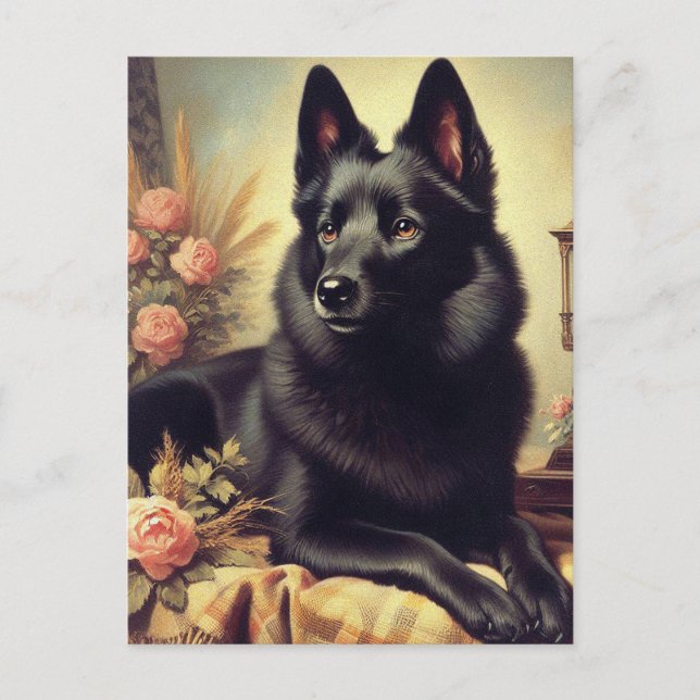 Vintages Schipperke Dog Gemälde Postkarte (Vorderseite)