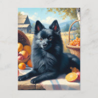 Vintages Schipperke Welpenbild
