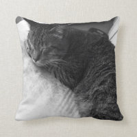 Vintages Schlafenkatzen-Foto| Throw-Kissen