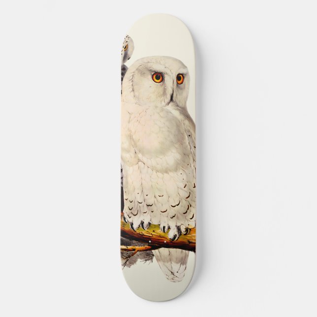 Vintages Schneeauscheln Zeichnend Skateboard (Vorderseite)