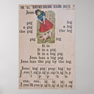 Vintages Schulplakat-Plakat Poster