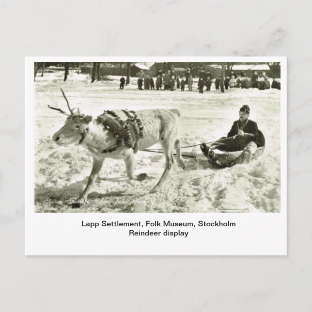 Vintages Schweden, Lapp-Siedlung, Volksmuseum, Postkarte (Vorderseite)