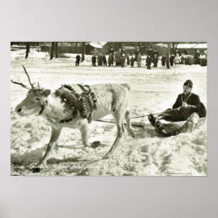 Vintages Schweden, RentierSchlitten, Volksmuseum, Poster