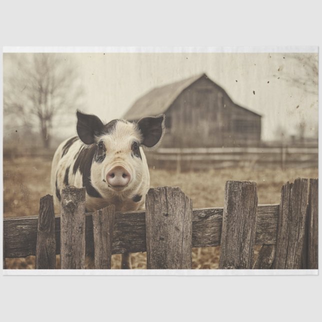 Vintages Schwein auf einer Entkopplung Seidenpapier (Vorderseite)