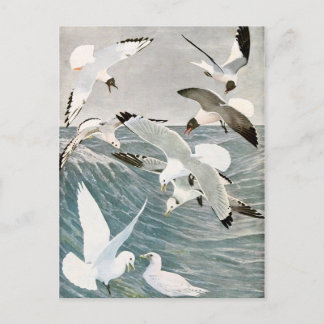 Vintages Seagull Ocean Bird Beach Sommermeer Postkarte
