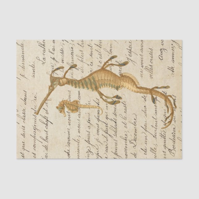 Vintages Seepferd Seidenpapier (Vorderseite)