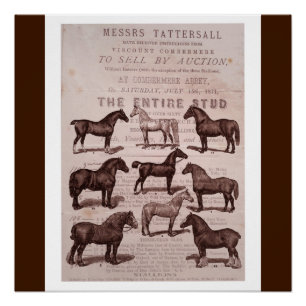 Vintages Sepia-Pferde-u. Stallions-Auktions-Plakat Poster