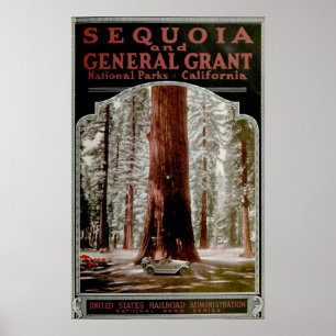 Vintages Sequoia Nationalpark Illustration Poster