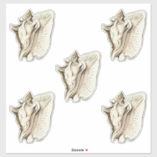 Vintages Set der Muschel 5 Aufkleber