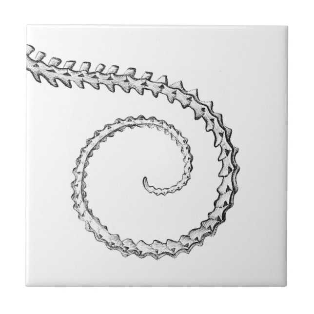 Vintages Skelett Fliese (Vorderseite)