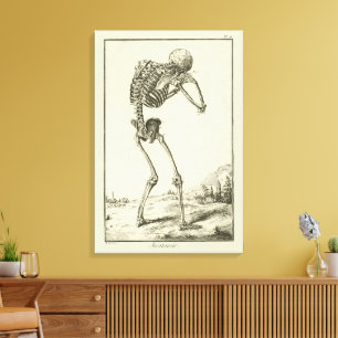 Vintages Skelett, menschliche Anatomie von Denis D Leinwanddruck