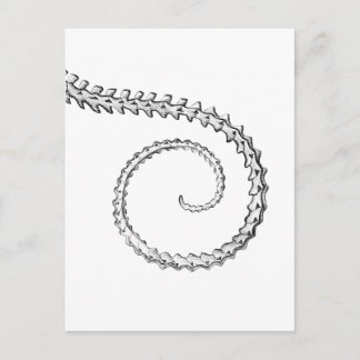 Vintages Skelett Postkarte