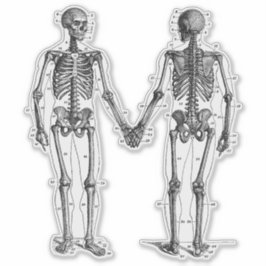 Vintages Skelettdiagramm mit nummerierten Knochen Aufkleber