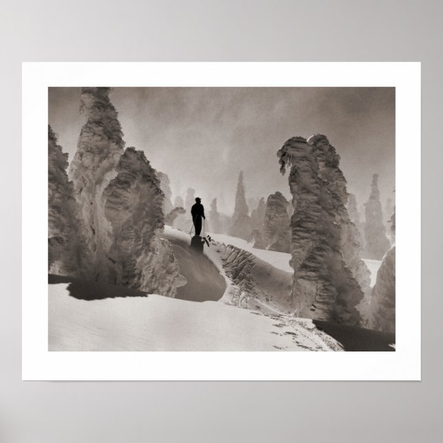 Vintages Skizentrum, Waldweg Poster (Vorne)