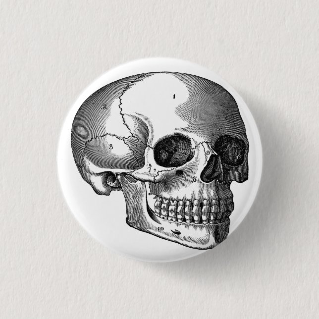 Vintages Skull-DiagrammSchaltfläche Button öffnen (Vorderseite)