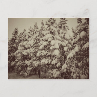 Vintages Snowscape, Conifer, CO Postkarte
