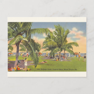 Vintages Sonnenbad Miami Beach Florida Postcard Postkarte