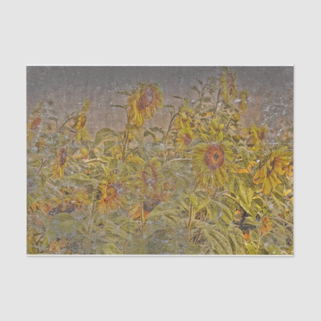 Vintages Sonnenblumenfeld gelb gelb gestört Seidenpapier (Vorderseite)