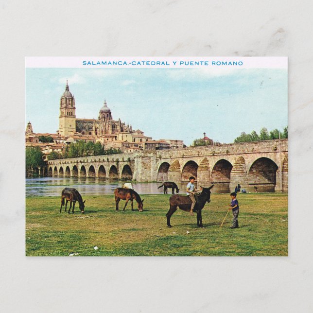 Vintages Spanien, Salamanca, Kathedrale Postkarte (Vorderseite)